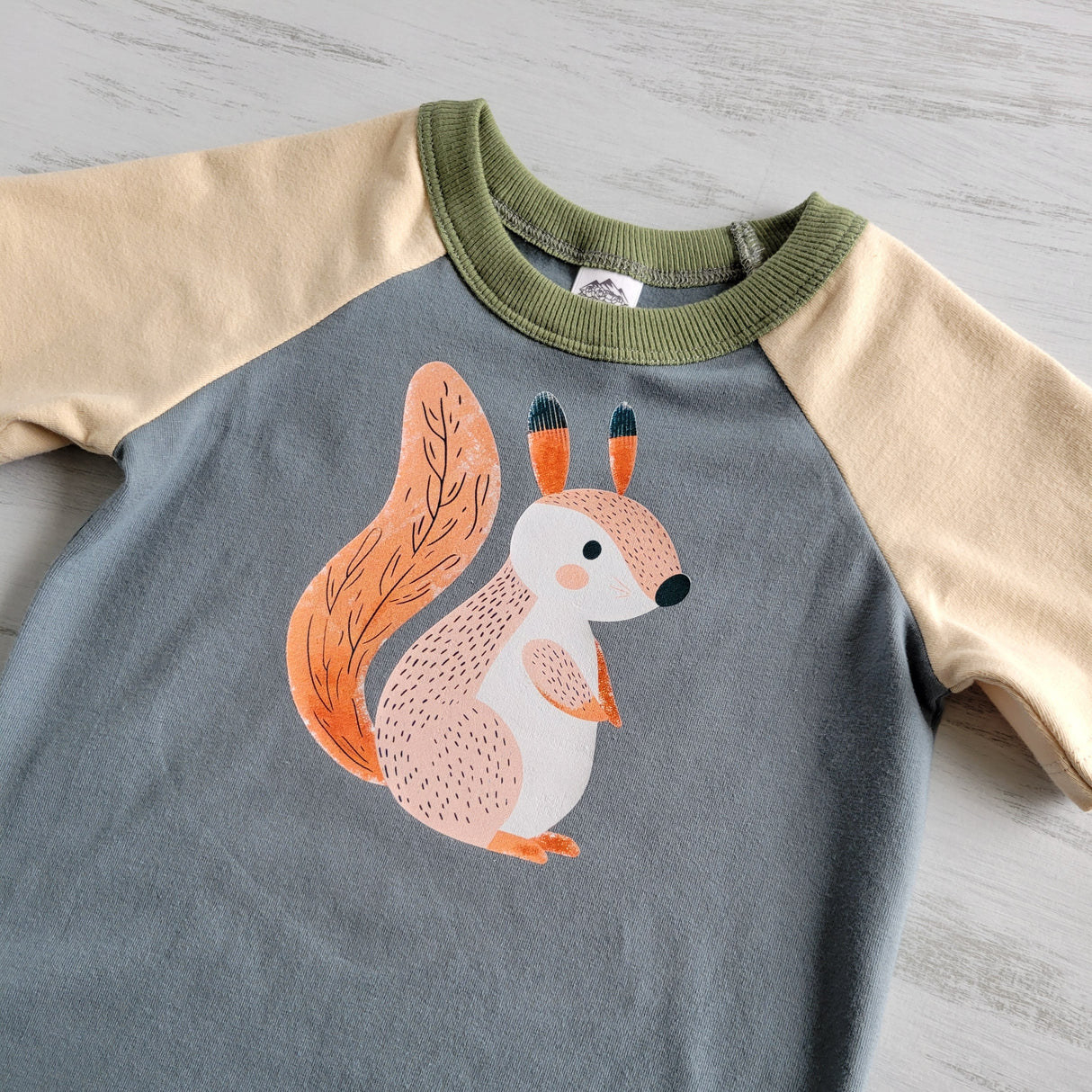 Blue - Kids Animals Tshirt - Organic American made Cotton