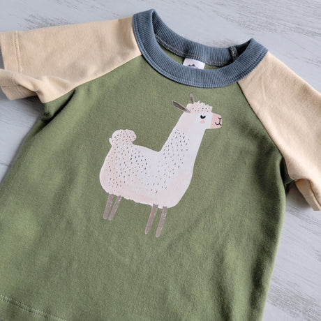 Green - Kids Animals Tshirt - Organic American made Cotton