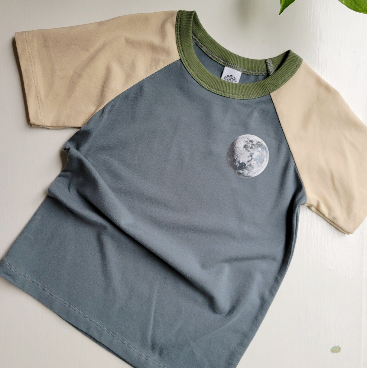 Blue - Kids Animals Tshirt - Organic American made Cotton