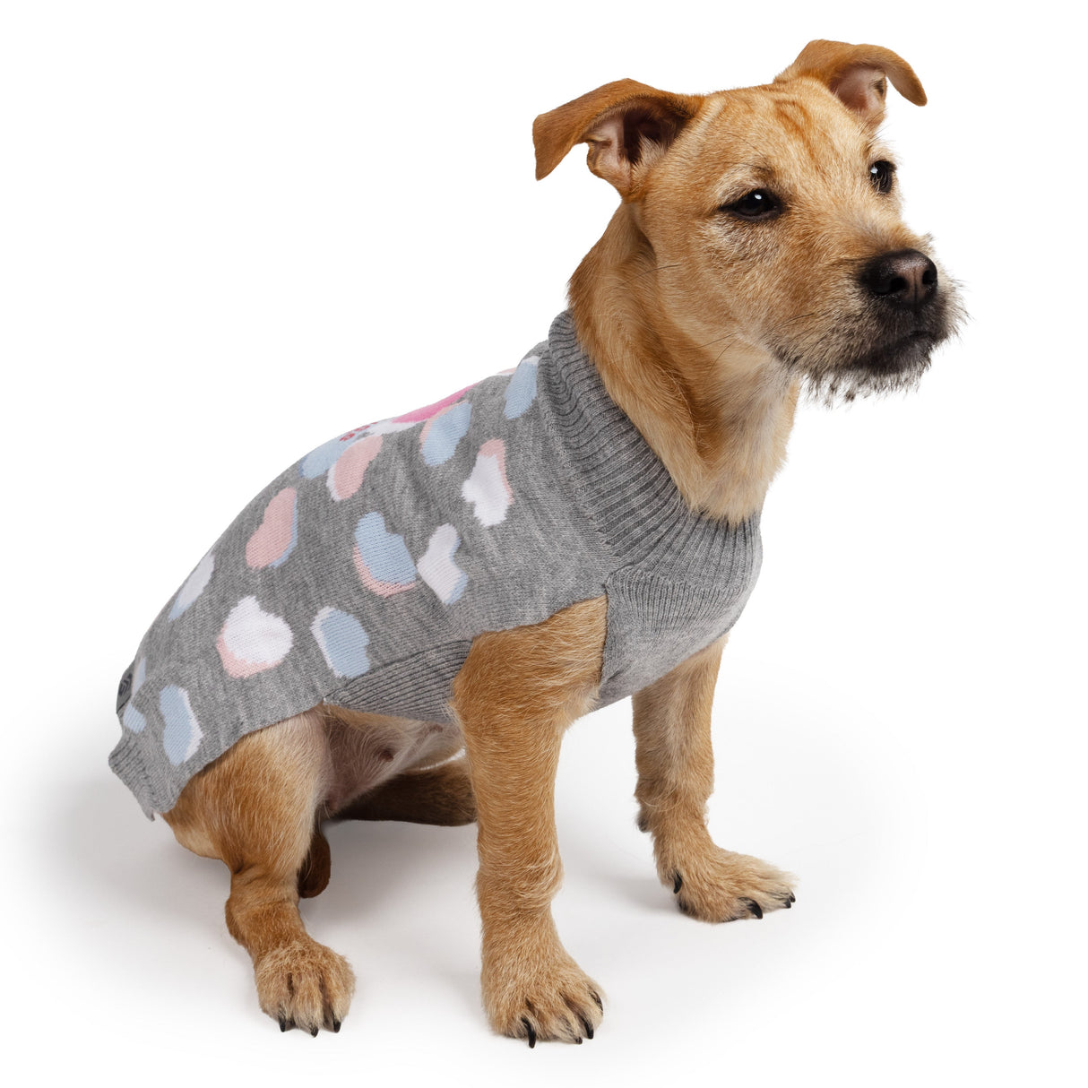 Dog Valentine Sweater