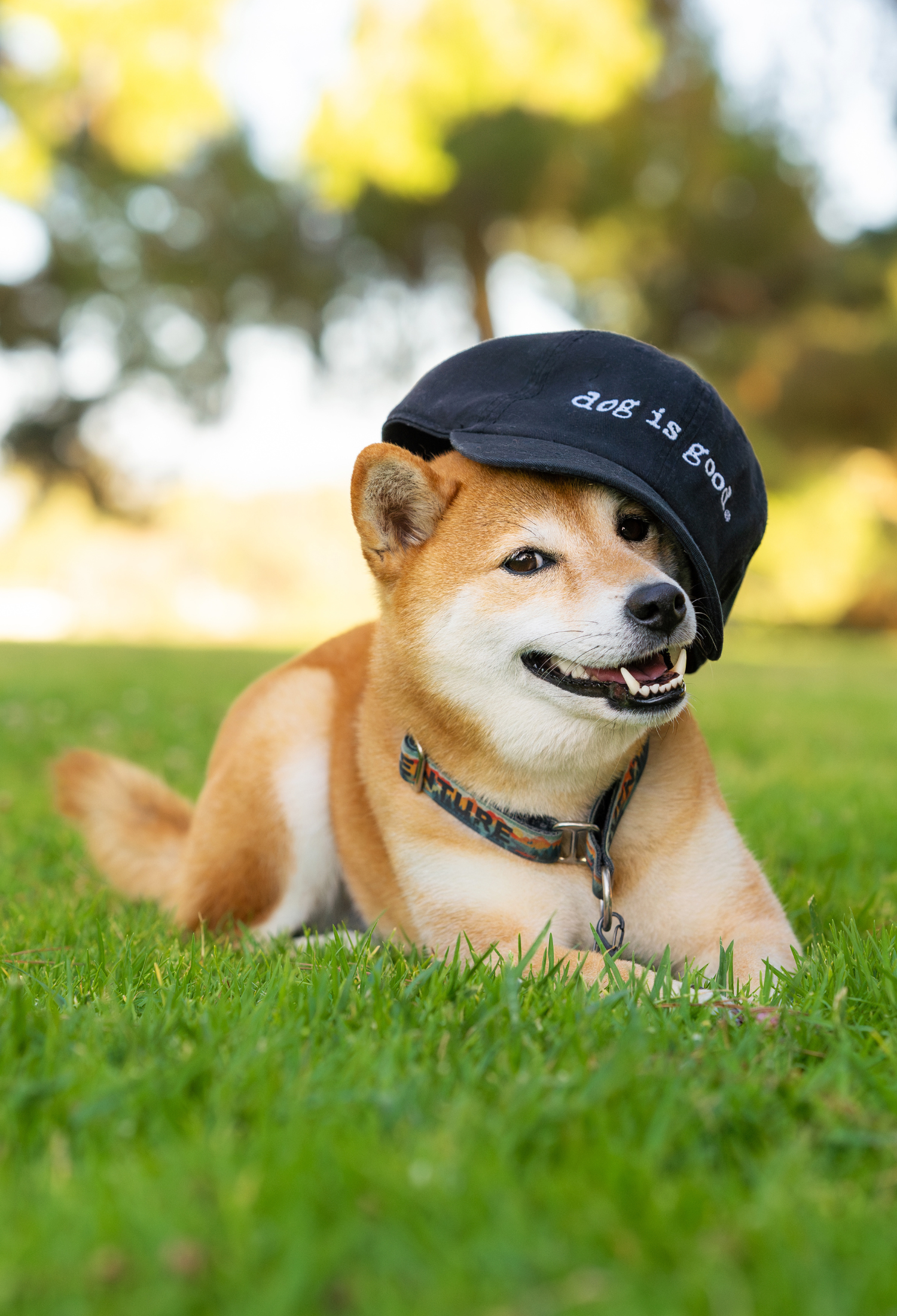 Hat: Dog is Good Signature (Black)
