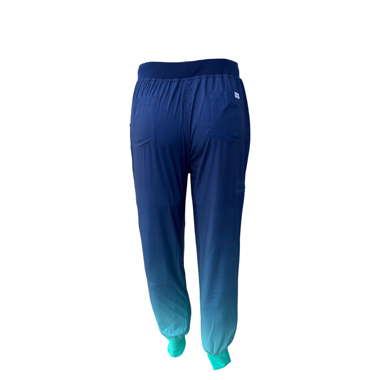 DK Gradient Jogger Scrub Pants (Blue/Green)