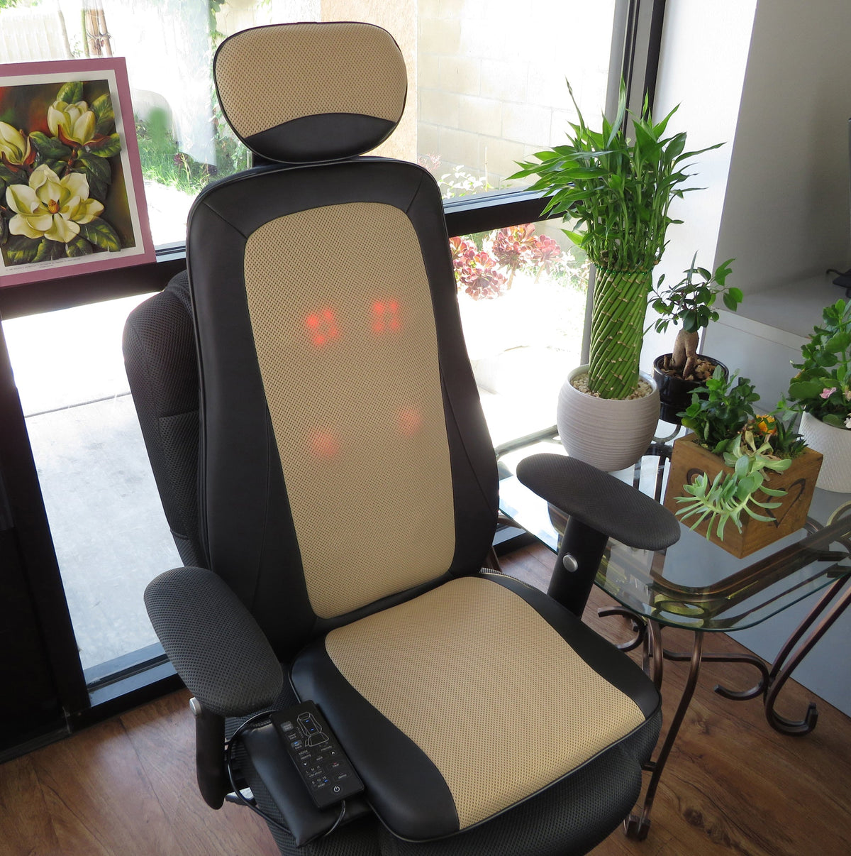 Carepeutic Kneading Rolling Vibration Massage Chair Cushion, Back Massager with Heat Massage, Chair Pad Kneading Back Massager for Pain Relief, Deep Tissue Chair Massage Cushion for Office or Home
