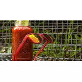 "Phoenix At A Bloody Mary Bar” OG Polarized Sunglasses