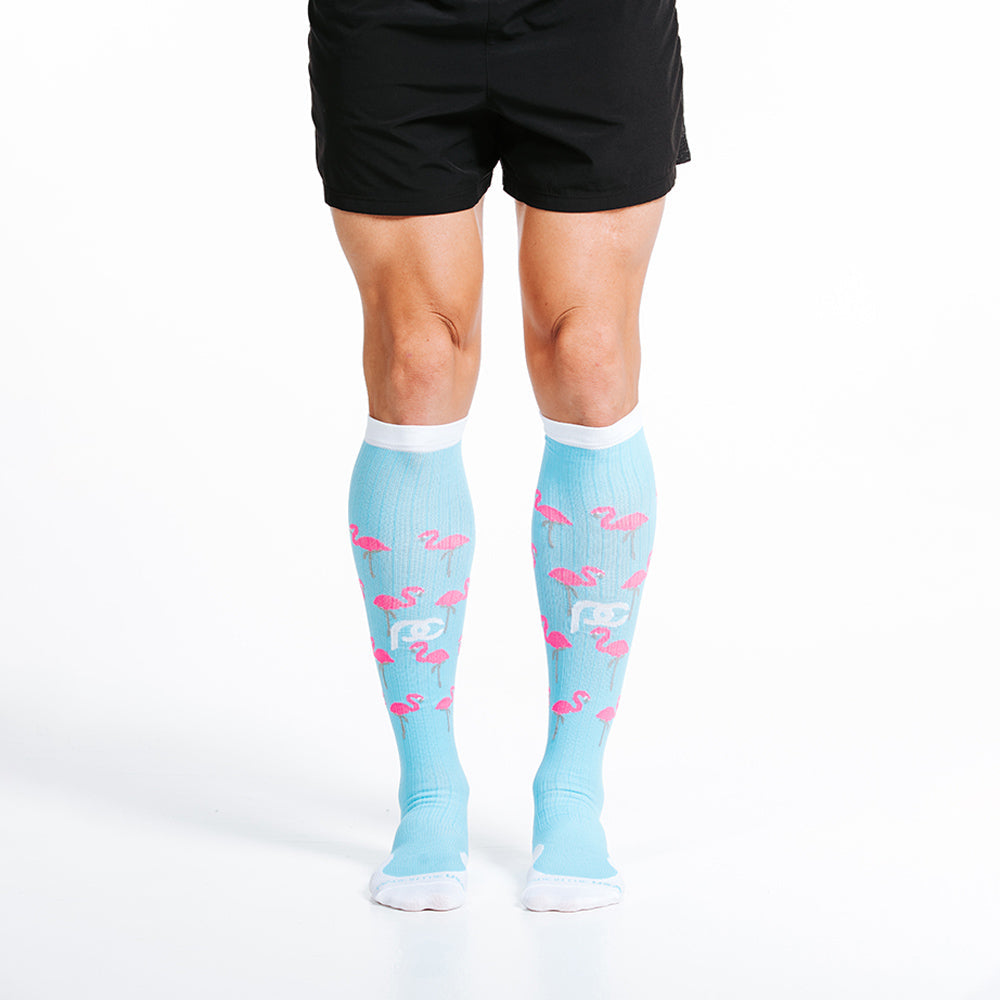 Flamingos