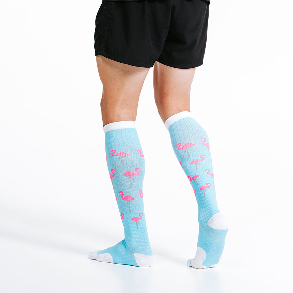 Flamingos