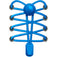 Round Locks Elastic