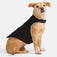 Stratus Lite Reversible Dog Jacket