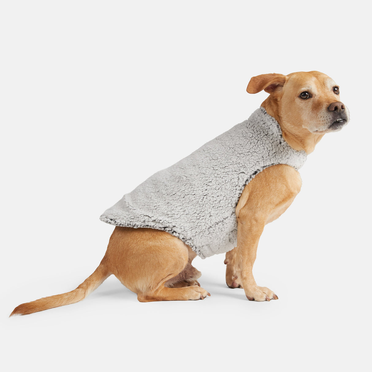 Stratus Lite Reversible Dog Jacket