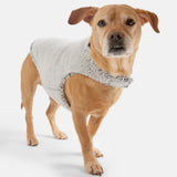 Stratus Lite Reversible Dog Jacket