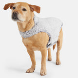Stratus Lite Reversible Dog Jacket