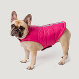 Dog Down Reversible Mock Jacket