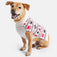 Dog Holiday Sweater