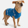 Dog Holiday Sweater