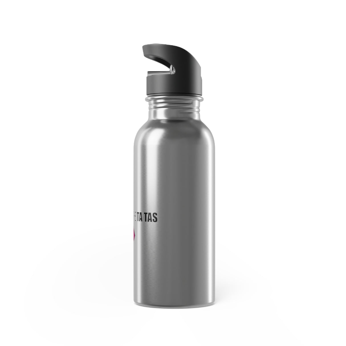 Stainless Steel Water Bottle With Straw, 20oz