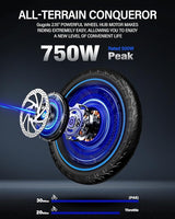 2 Seater Electric Bike for Adults,Mini Bike 500/750 Motor,28MPH,48V/15AH Removable Battery,25-30Miles 16" Fat Tire Commuter Ebike,Full Suspension Foldable Electric Bicycles for Adults Teens