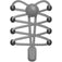 Round Locks Elastic