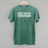 Here For The Shenanigans