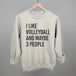 I Like Volleyball And Maybe 3 People