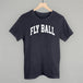 Fly Ball Arch