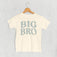 Big Bro Distressed (Kids)