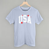 USA Arch And Stars
