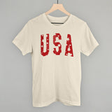 USA Distressed Stars