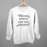 Bloom Where You Are Planted