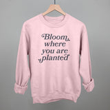 Bloom Where You Are Planted
