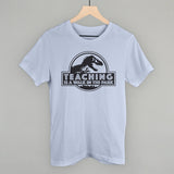 Teaching Is A Walk In The Park