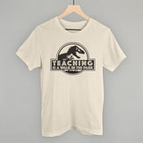 Teaching Is A Walk In The Park