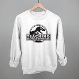 Teaching Is A Walk In The Park