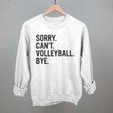 Sorry Can't Volleyball Bye