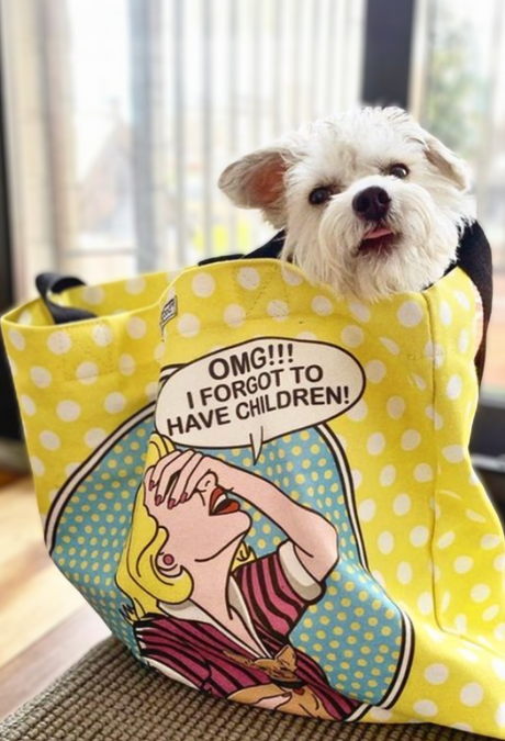 Tote: OMG I Forgot to Have Children