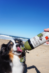 Dog Water Bottle: Never Drink Alone