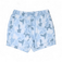 Volley Shorts